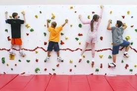 Wall Climbers