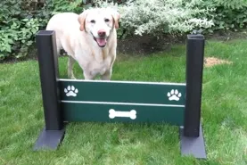Recycled Dog Parks